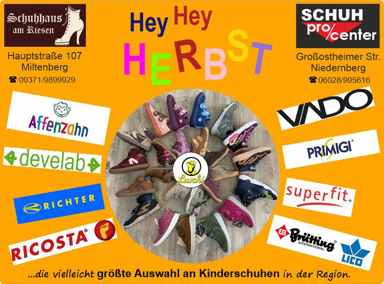 Damenschuhe in Niedernberg